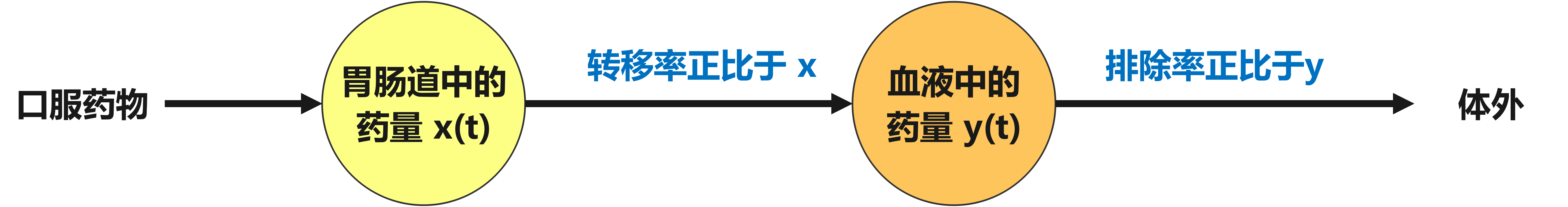 药物转移过程示意图